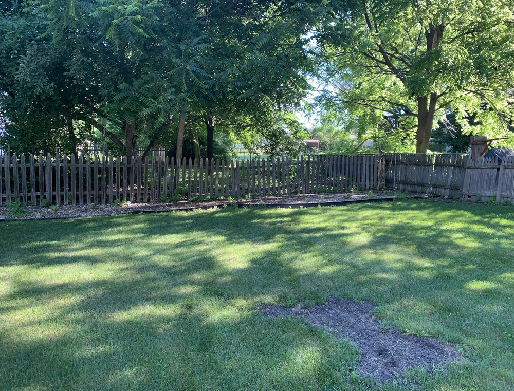 Before: yard lacking privacy screening